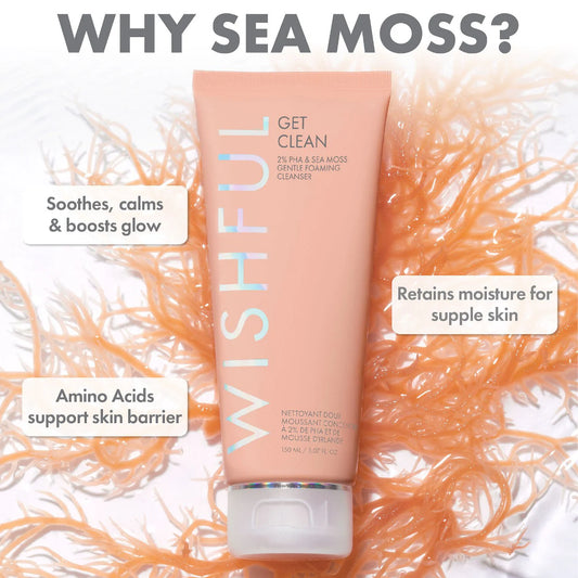 Get Clean 2% PHA & Sea Moss Gentle Foaming Cleanser