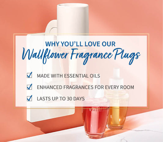 Bath and Body Works Wallflowers Fragrance Plug